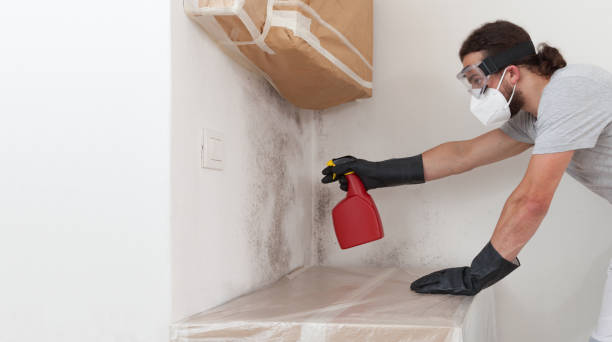 Professional Mold Remediation technician working in Victoria, MN